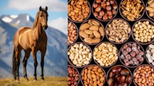 add-a-heading-3-1776343690