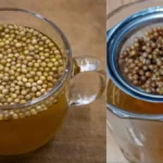 सुबह खाली पेट क्यों पीना चाहिए धनिया का पानी, एक महीने तक पीने से दूर हो जाएंगी ये बीमारियां