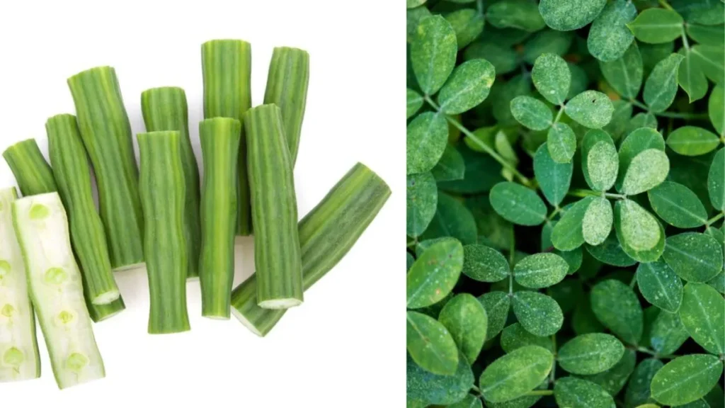 add-a-heading-4-1776045090