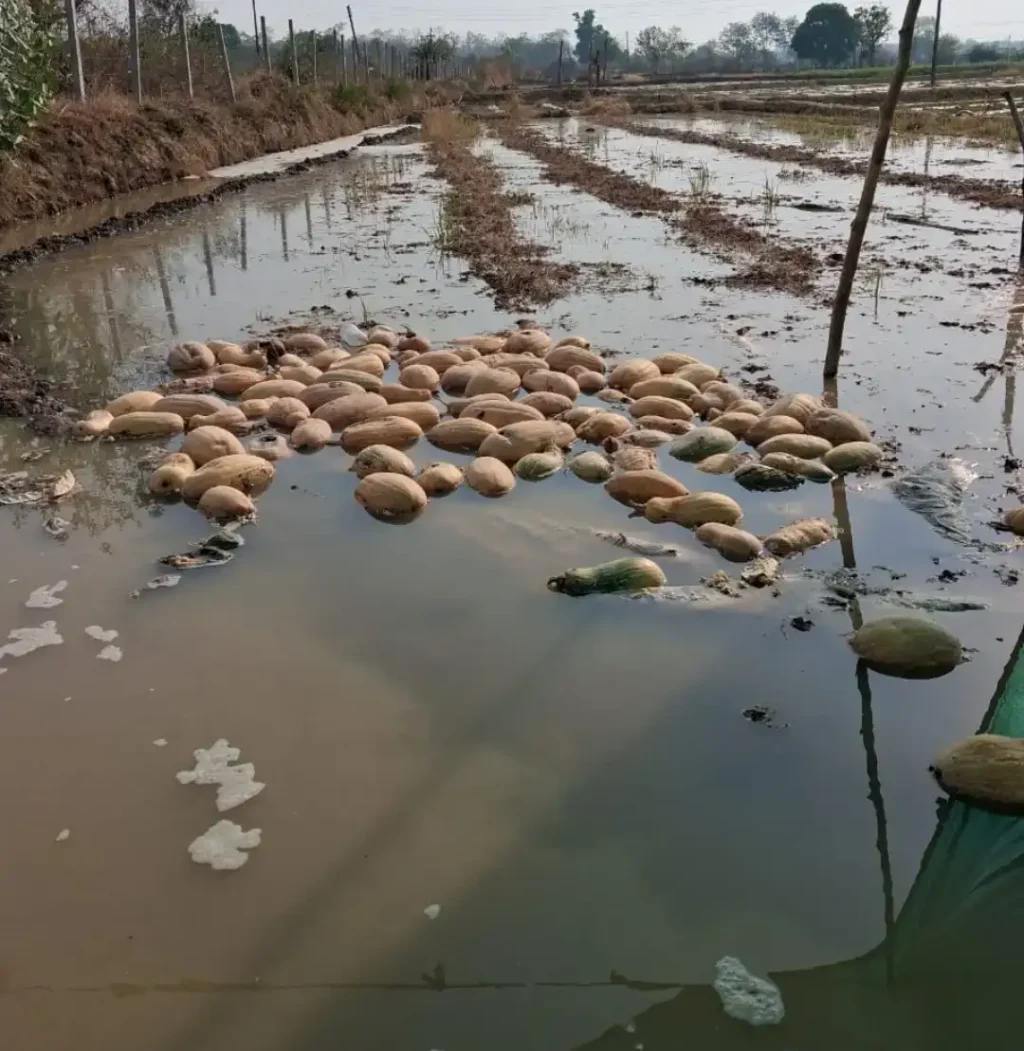 f0988d9b442ee7b0f4dc878a8f7adc30