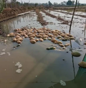 f0988d9b442ee7b0f4dc878a8f7adc30