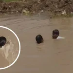 maharashtra-news-1280-720-16