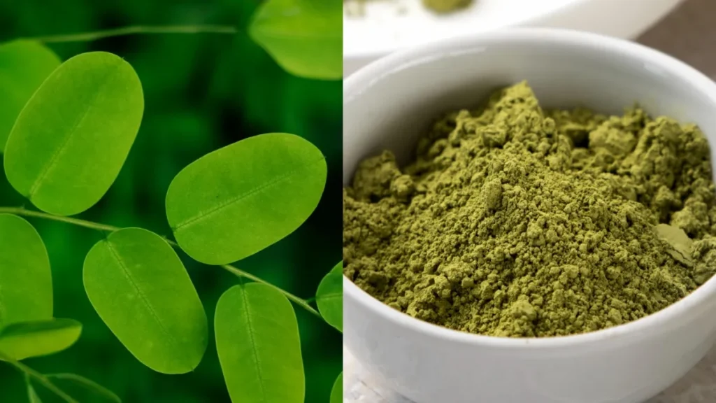 mixcollage-01-apr-2026-11-15-am-4716-1775022360