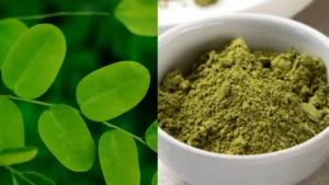 mixcollage-01-apr-2026-11-15-am-4716-1775022360