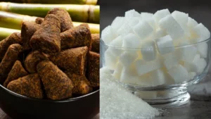 mixcollage-21-apr-2026-11-36-am-6320-1776751590