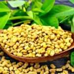 30 दिनों तक एक चम्मच भिगोया हुआ मेथी दाना खाने से क्या होगा? जानें सेहत पर पड़ता है कैसा प्रभाव?