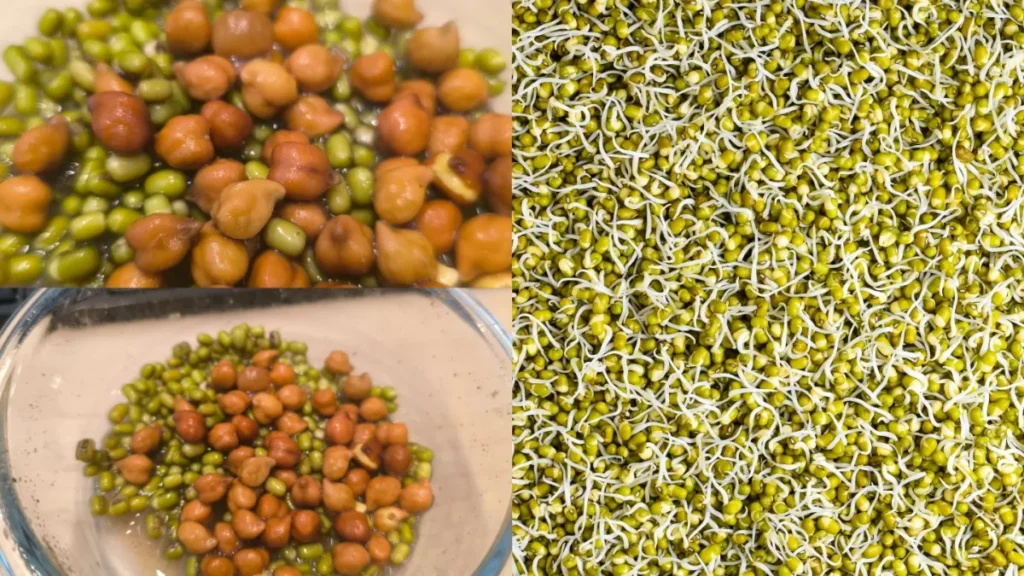 mixcollage-23-apr-2026-08-40-am-9992-1776913848