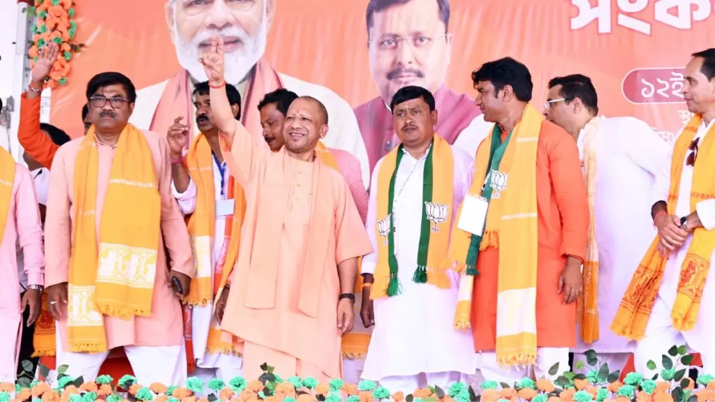 yogi-(17)-1775988725453